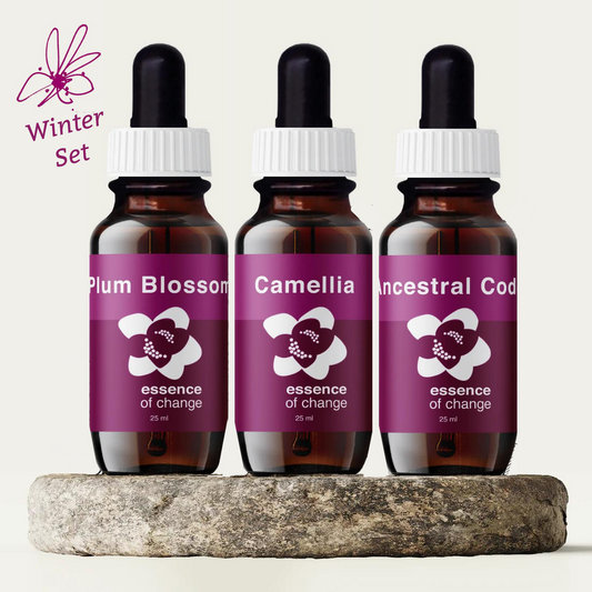 Winter Seasonal Set - for Yin Energy