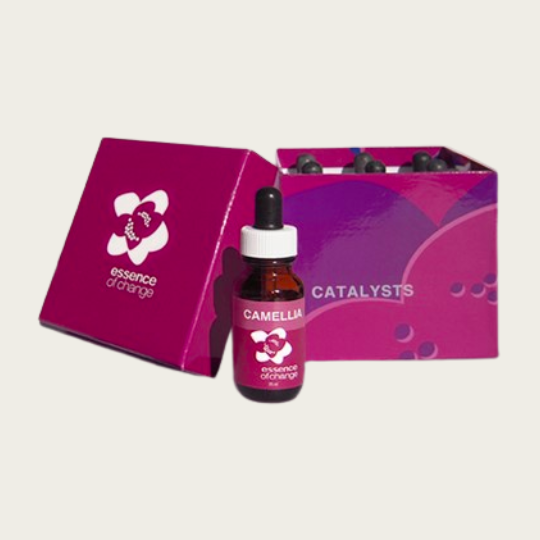 CATALYSTS Box Set - For Motivation