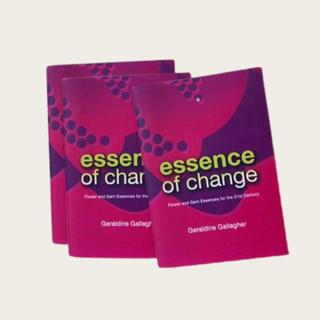 Essence of Change Book by Geraldine Gallagher