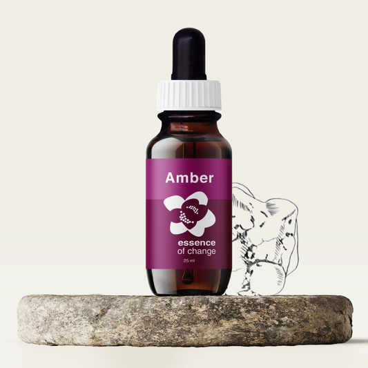 Amber Gem Essence - Healing