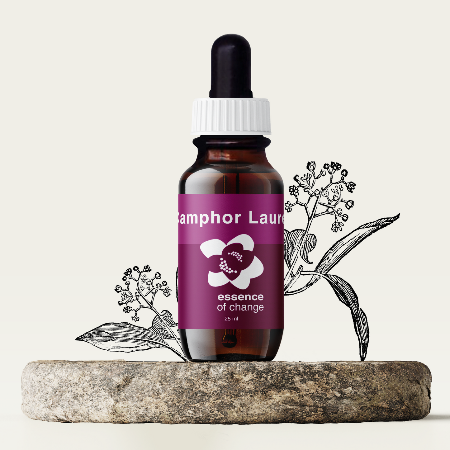 Camphor Laurel Flower Essence - Contemplation