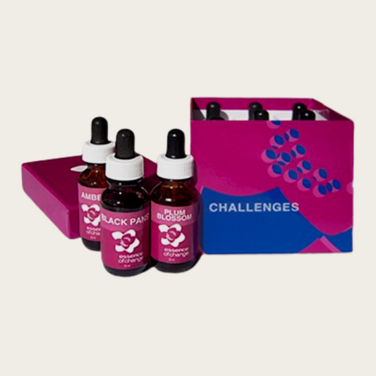 CHALLENGES Box Set - For Adaptability
