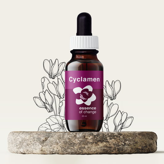 Cyclamen Flower Essence - Mastery