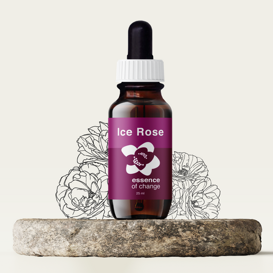 Ice Rose Flower Essence - Energy
