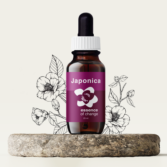 Japonica Flower Essence - Influence