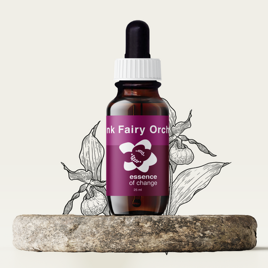 Pink Fairy Orchid Flower Essence - Calm