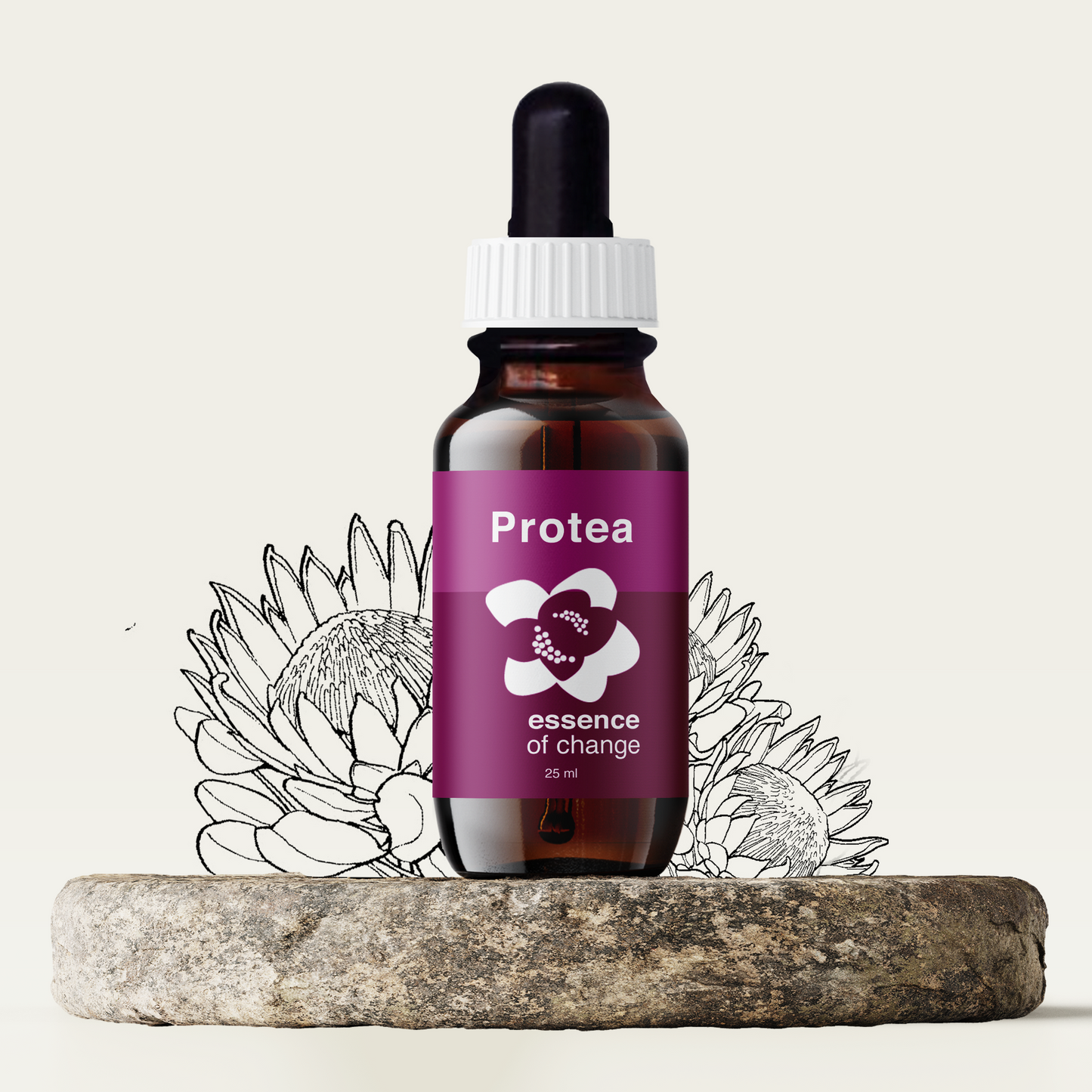 Protea Flower Essence - Grounding