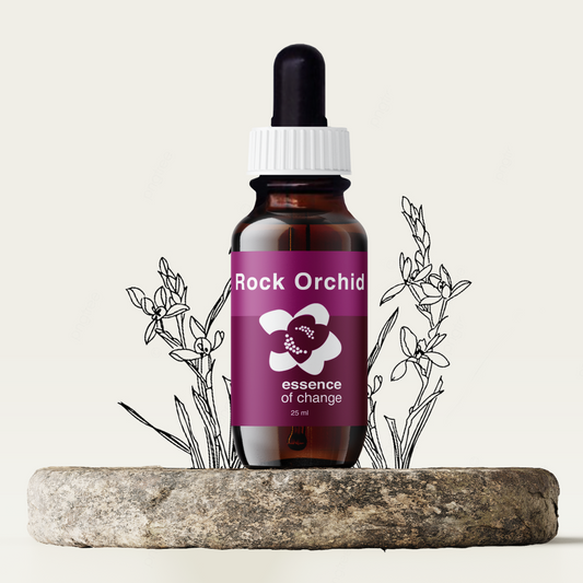 Rock Orchid Flower Essence - Power