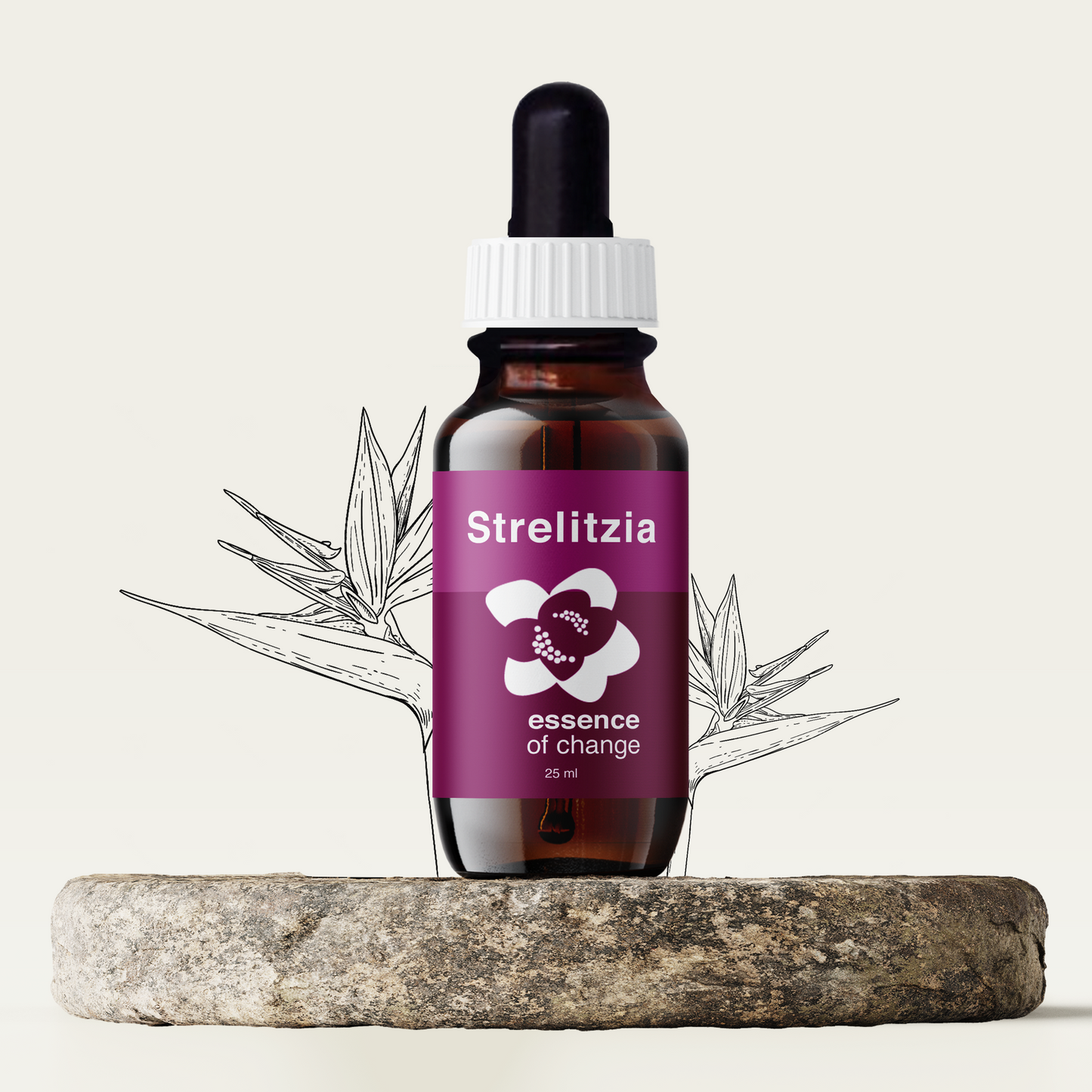 Strelitzia Flower Essence - Navigation